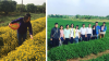 Đóng góp của Học viện Nông nghiệp Việt Nam trong phát triển dược liệu Việt