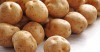 Chìa khóa giúp tăng sản lượng khoai tây của Trung Quốc