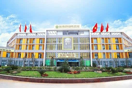 Ngành học của Học viện Nông nghiệp lần đầu lọt bảng xếp hạng thế giới